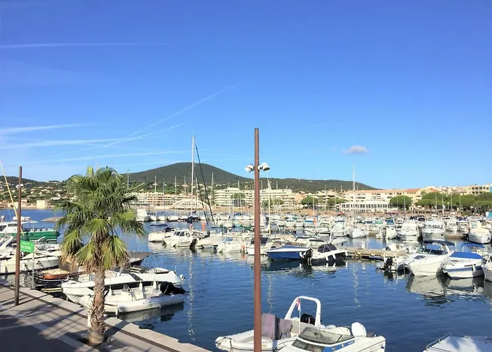 Appartamento Les Platanes-1 By Interhome *