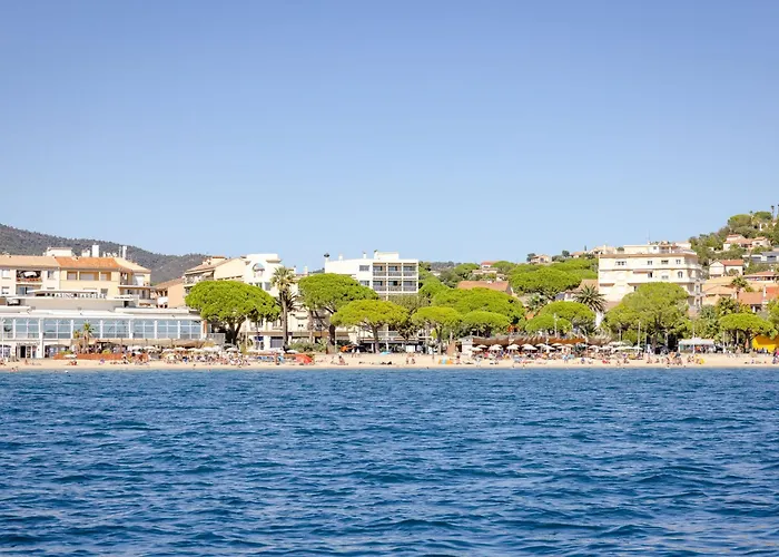 Les Platanes-1 By Interhome * Sainte-Maxime