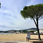 Les Platanes-1 By Interhome Daire *